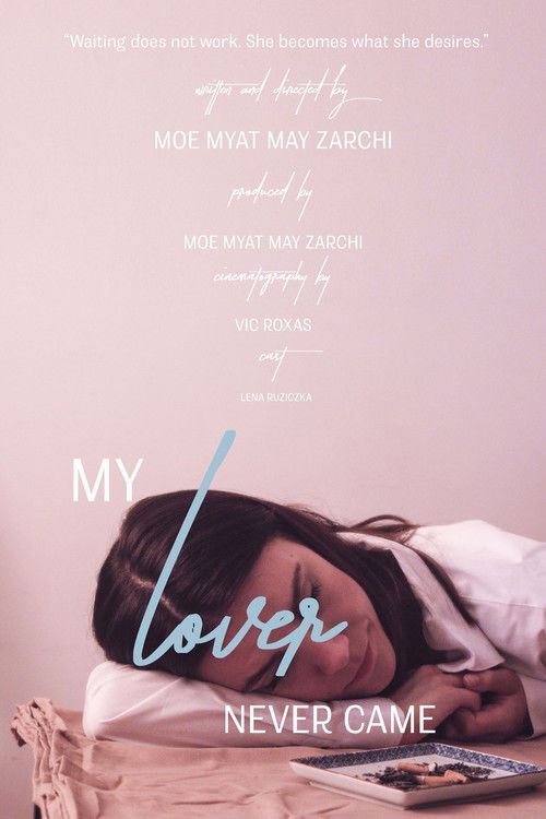 My Lover Never Came (2017) poster