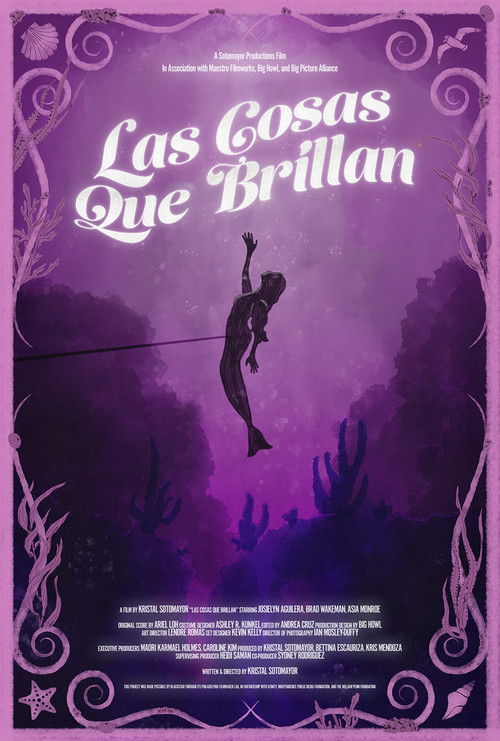 Las Cosas Que Brillan (2025) poster