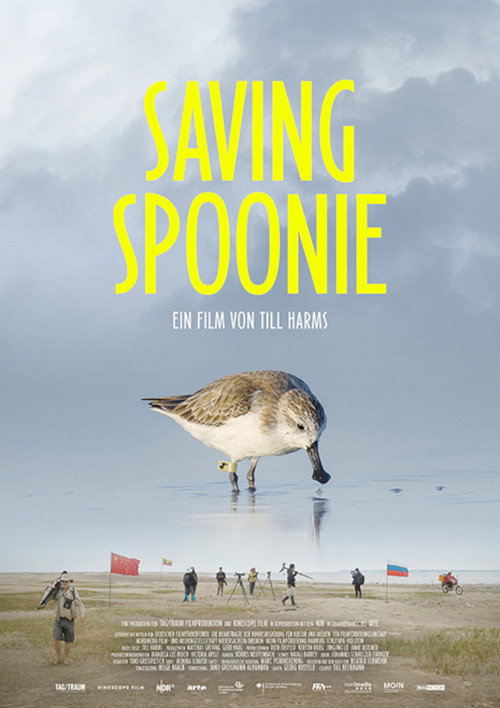 Saving Spoonie (2026) poster