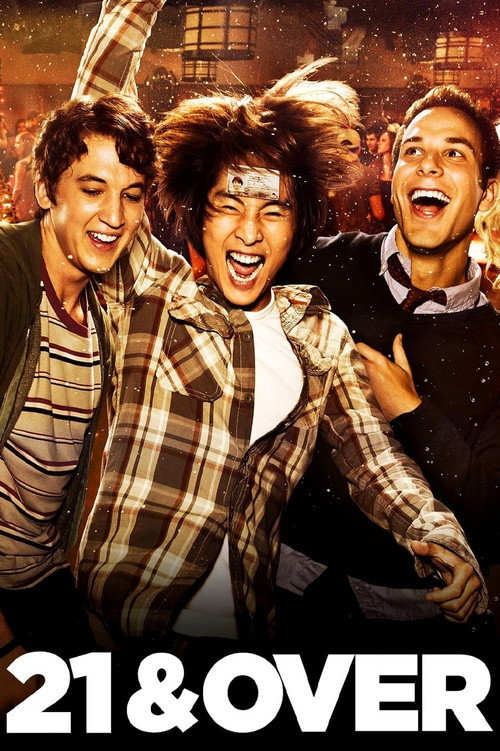 Çılgın Doğumgünü (2013) poster