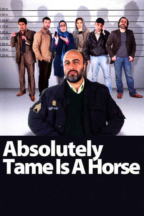 Absolutely Tame Is a Horse (2011) poster