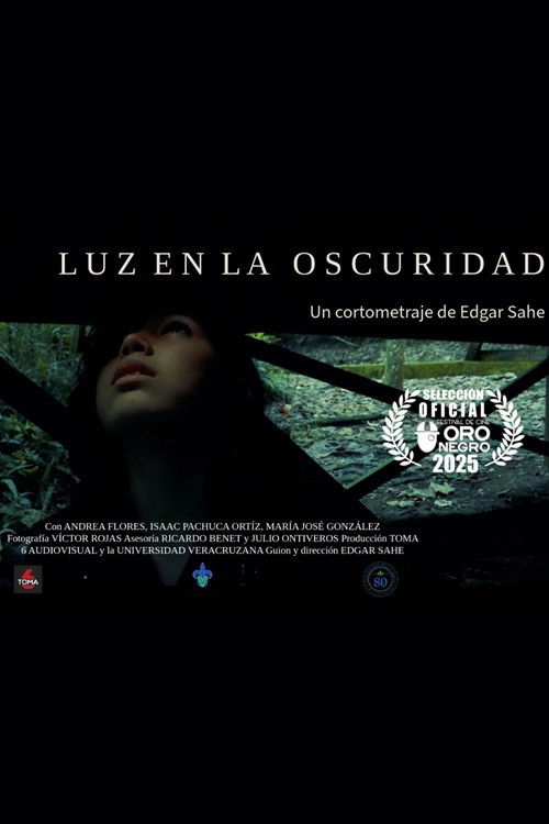 Luz en la oscuridad (2025) poster