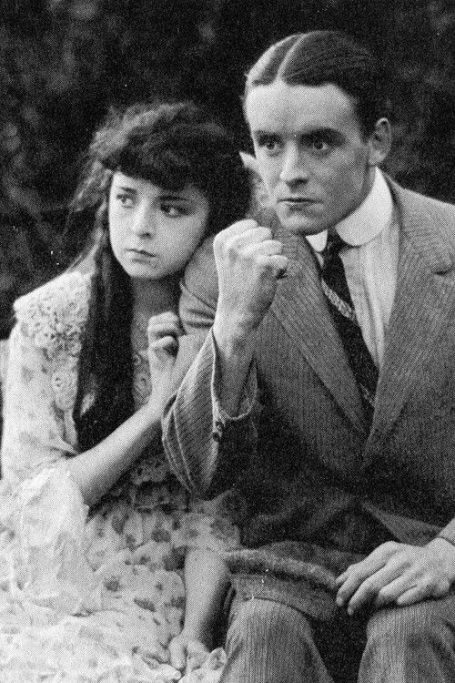 The Bad Boy (1917) poster