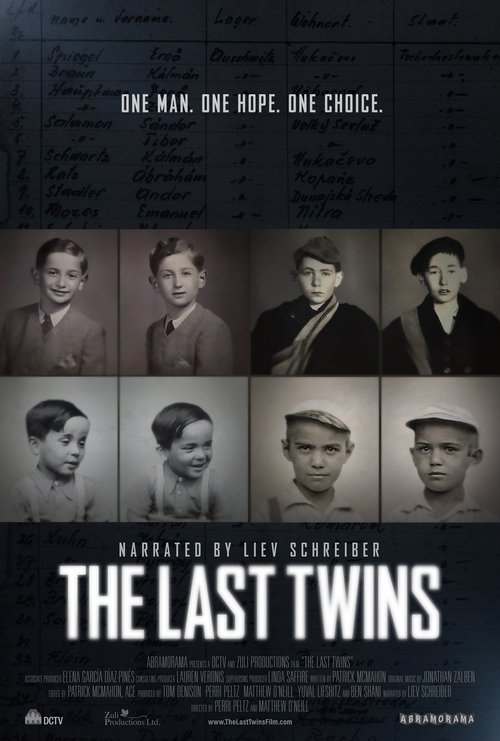 The Last Twins (2025) poster