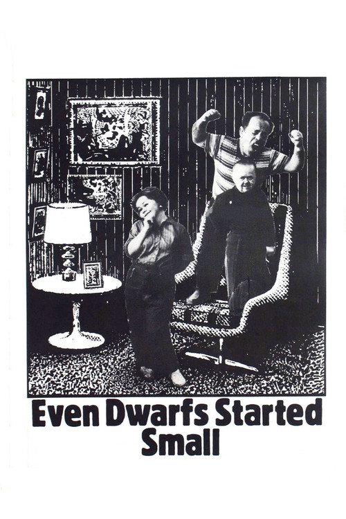Auch Zwerge haben klein angefangen (1971) poster