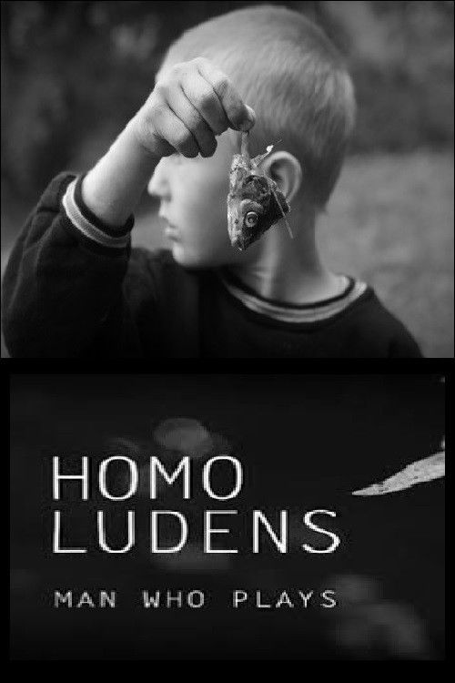 Homo Ludens. Man Who Plays (2014) poster