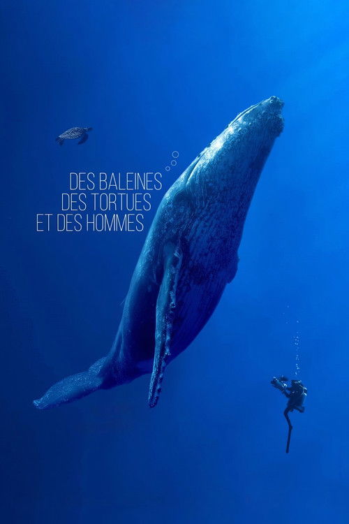 Des baleines, des tortues et des hommes (2024) poster