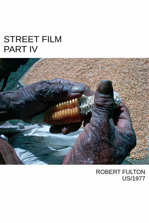 Street Film Part IV (1977) poster