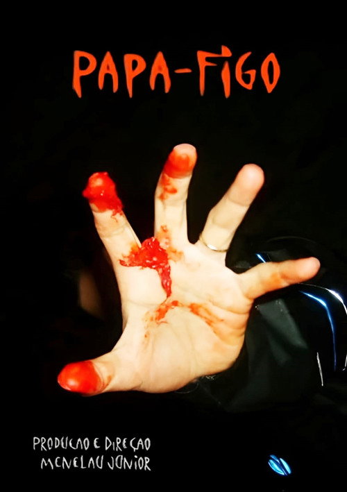 Papa Figo - O Filme (2009) poster
