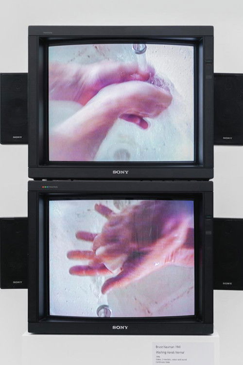 Washing Hands Normal (1996) poster
