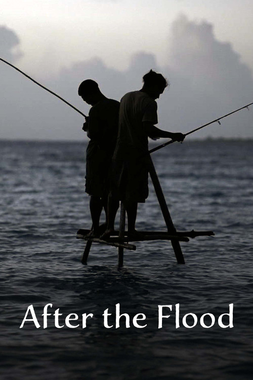 Après le déluge (2023) poster