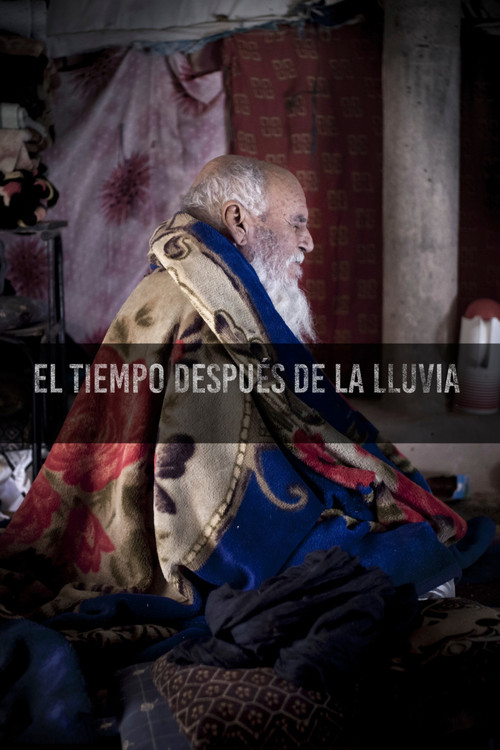 The time after the rain (2023) poster