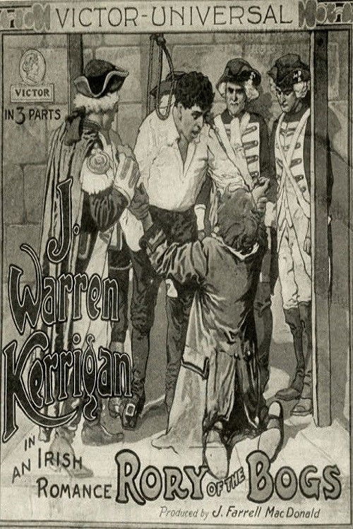Rory o' the Bogs (1913) poster