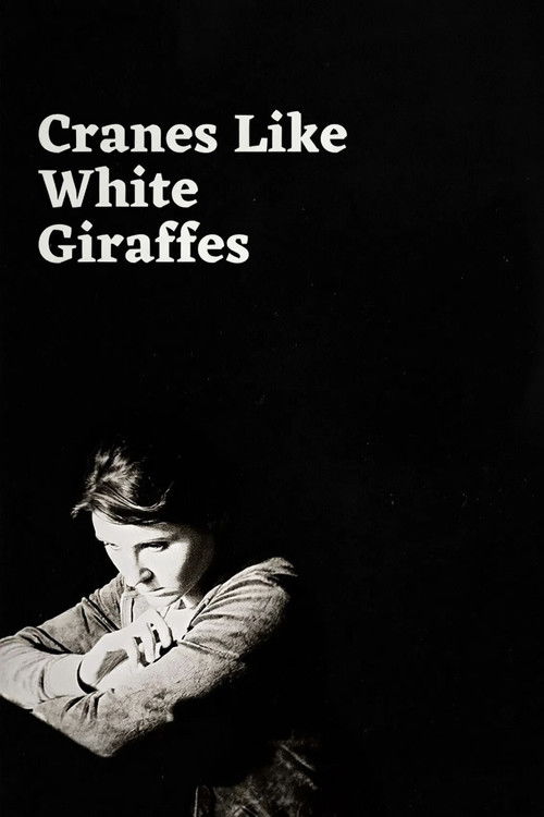 Cranes Like White Giraffes (2025) poster