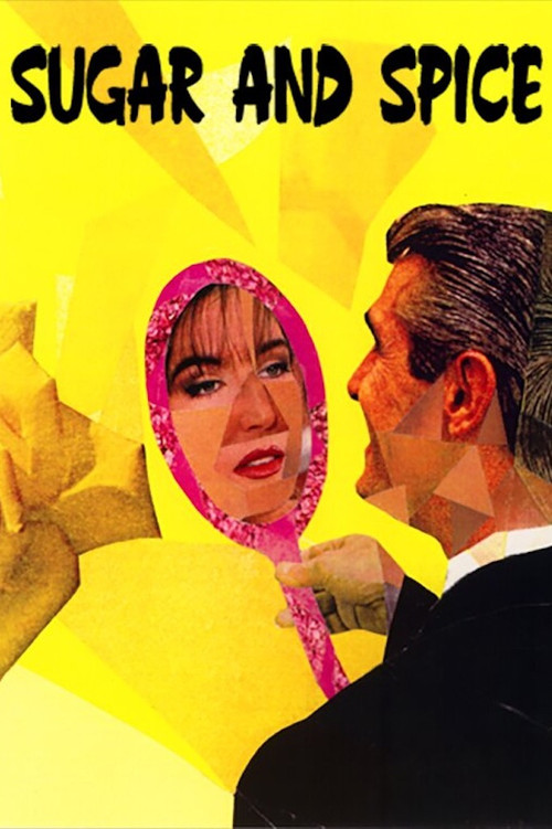 Sugar & Spice (1995) poster