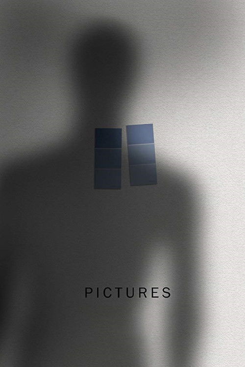 Pictures (2015) poster