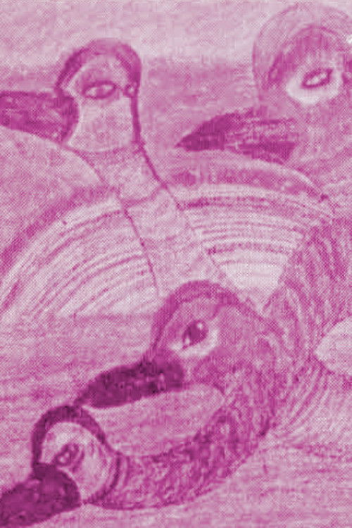 José Joaquín Barrero (1971) poster