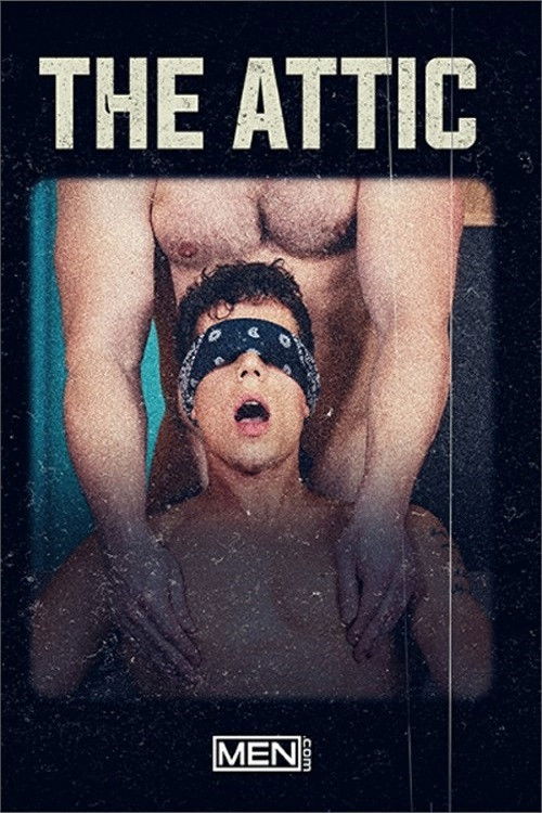 The Attic (2021) poster