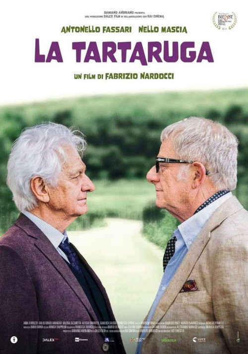 La tartaruga (2024) poster