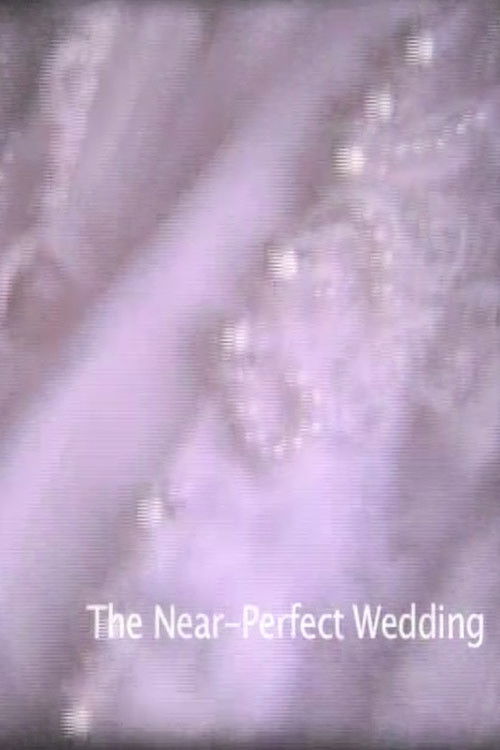 Near-Perfect Wedding (2007) poster