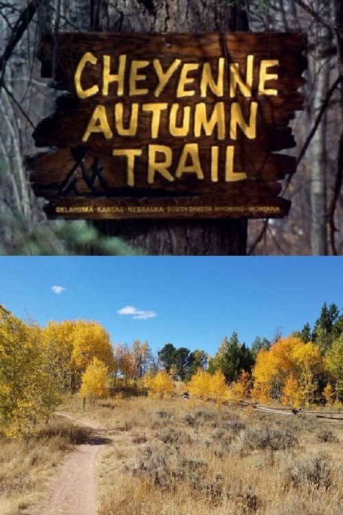 Cheyenne Autumn Trail (1964) poster