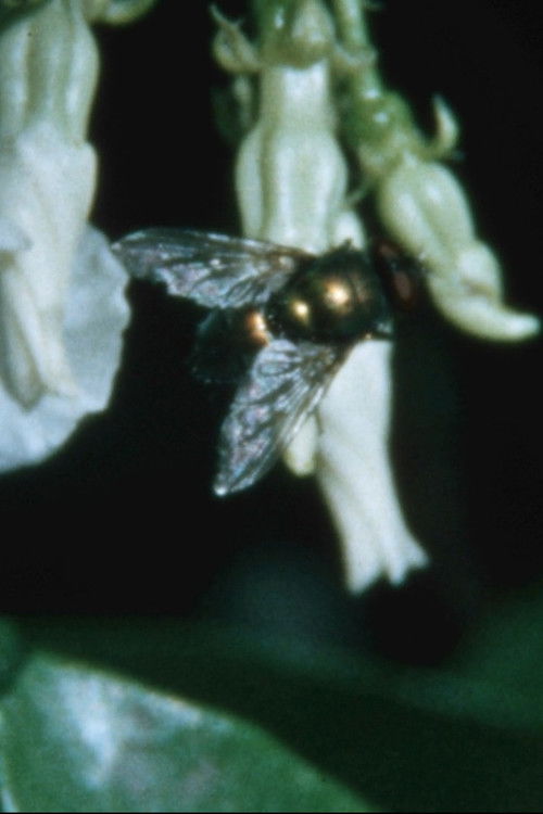 Stuck in a dream (2021) poster