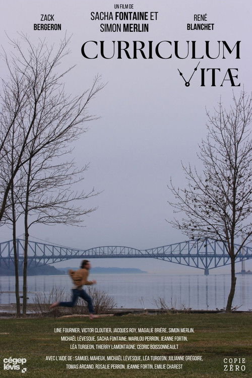 Curriculum Vitae (2024) poster