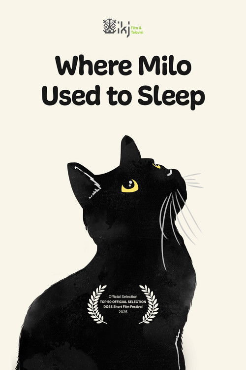 Where Milo Used to Sleep (2025) poster