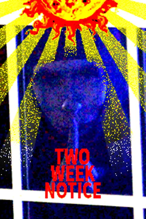 Two Week Notice (2025) poster