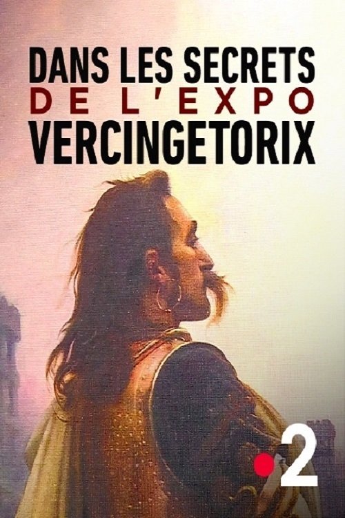 Dans les secrets de l'expo Vercingétorix (2021) poster