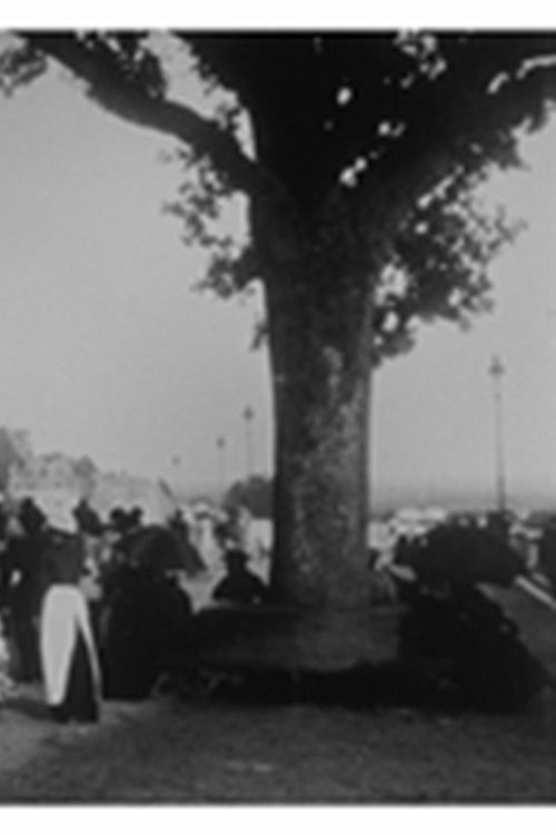 Pau : la terrasse (1900) poster