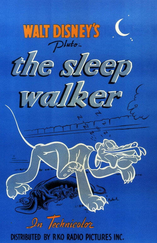 The Sleepwalker (1942) poster