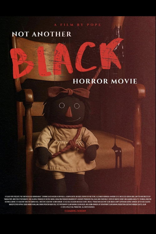 Not Another Black Horror Movie (2025) poster