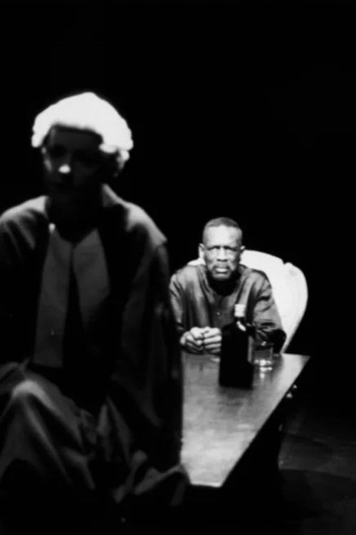 The Turner Revelation (1995) poster