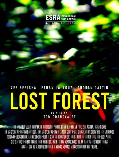 Lost Forest (2022) poster