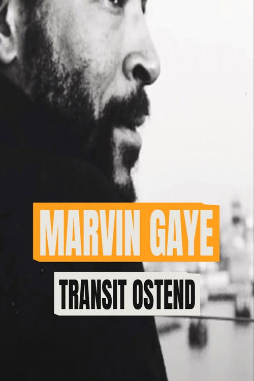 Marvin Gaye: Transit Ostende (1989) poster