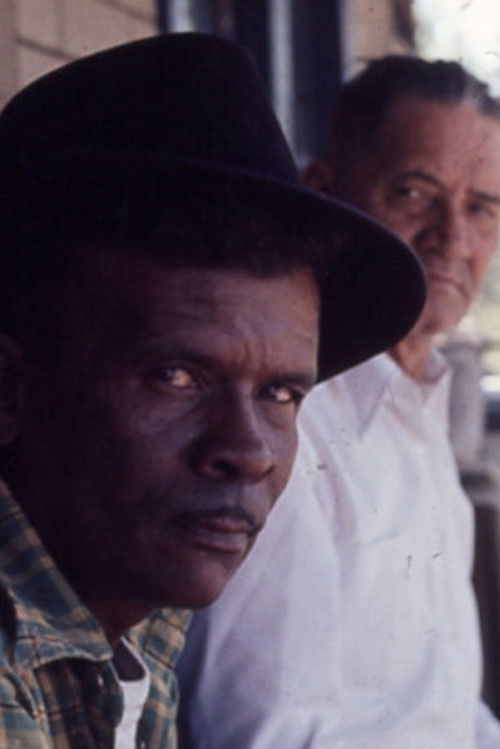 Woodcutters of the Deep South (1973) poster