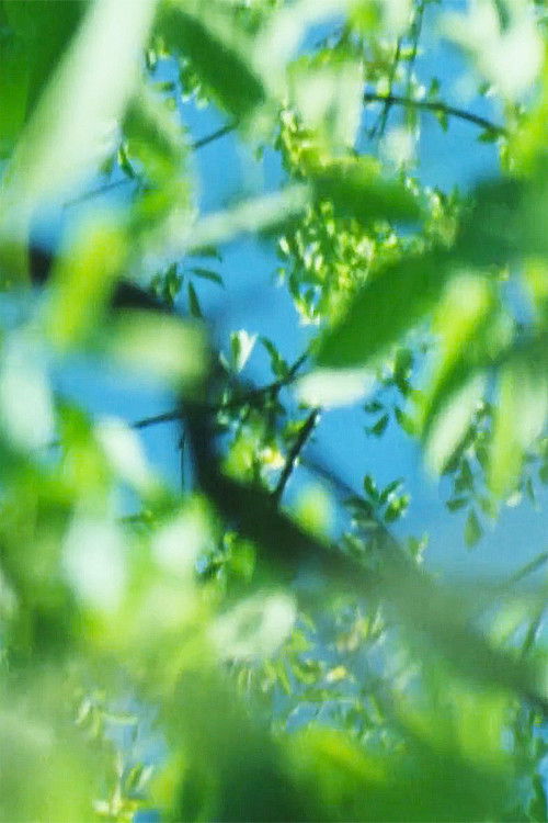 Lettres 16mm (2022) poster