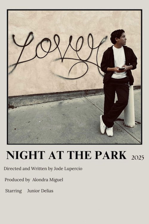 Night at the Park (2025) poster
