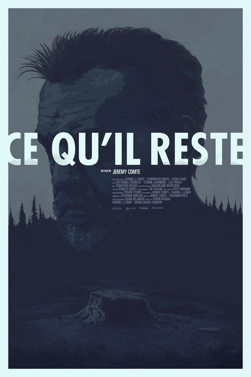 What Remains (2016) poster