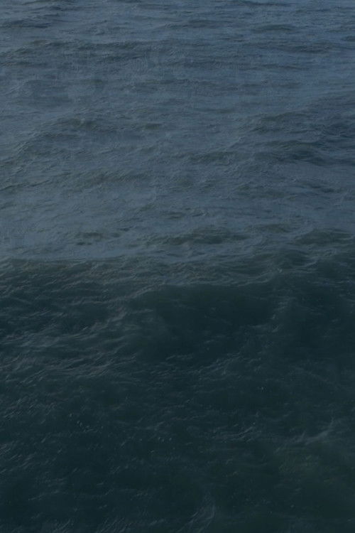 Twenty Nine Minutes at Sea (2017) poster