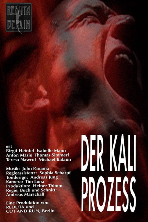 Der Kali Prozess (2003) poster