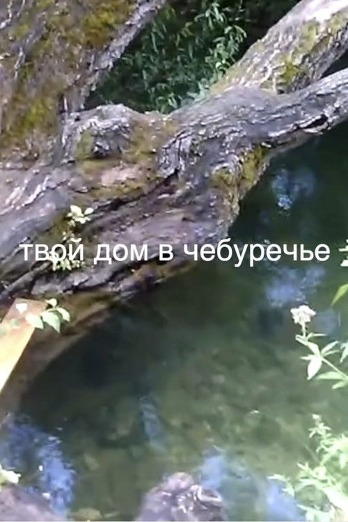 your house in the Cheburechie (2024) poster