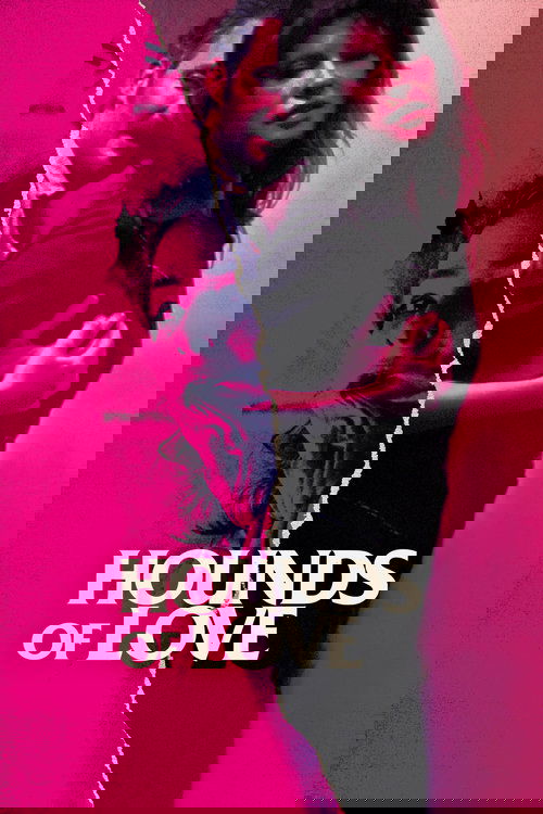 Av Köpekleri (2016) poster