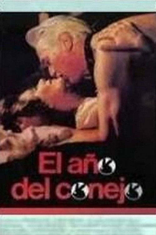 El año del conejo (1987) poster