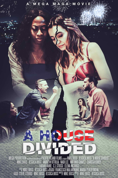 A House Divided (2020) poster