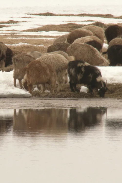 Stains of Oxus (2017) poster