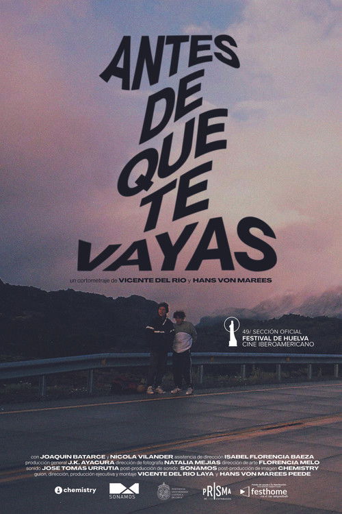 Antes de que te vayas (2022) poster