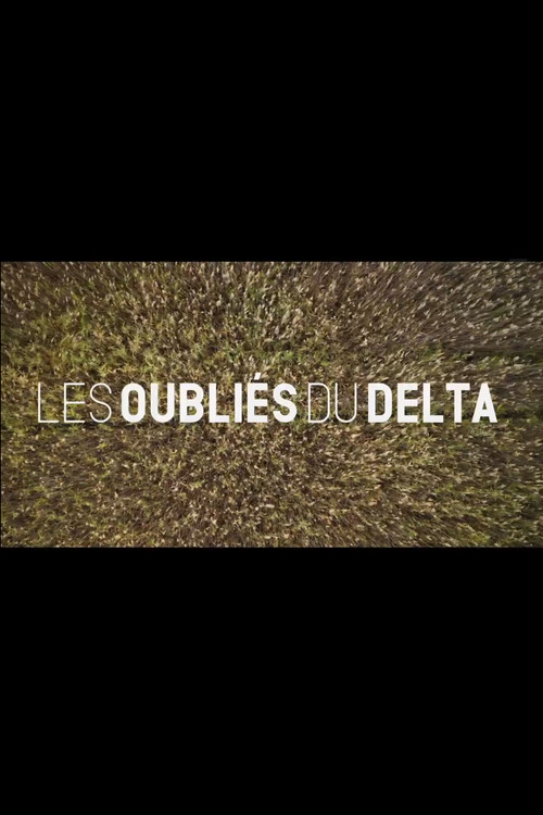 Les oubliés du Delta (2024) poster