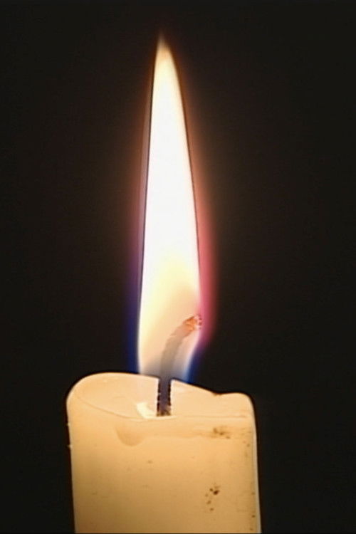 Light Veins (2014) poster